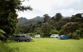 Image result for Thames Valley Spice