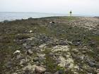 up after oil spill public - via Daymix