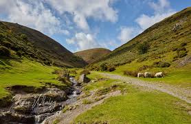 Image result for Long Mynd