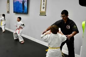 Image result for Hidden Dragon Karate-Do