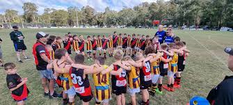 Image result for Eltham Panthers