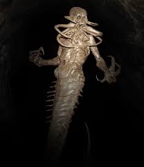 Attēlu rezultāti vaicājumam “Chilopoda”