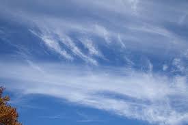 Attēlu rezultāti vaicājumam “Cirrus fibratus”