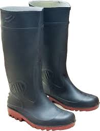 Image result for Gumboots