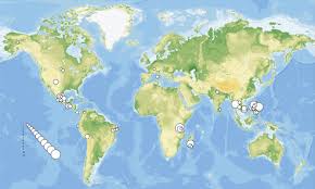 Attēlu rezultāti vaicājumam “Paradiacheopsis rigida stalked”