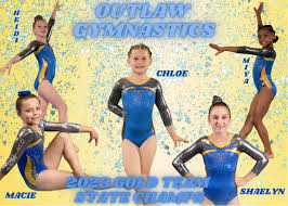 Image result for Hemsworth Odyssey Gymnastics Squad