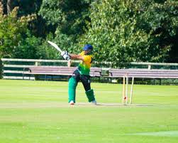 Image result for Louth Cricket Club