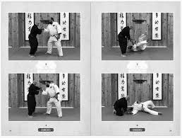 Image result for Goshin Ryu Atemi JuJitsu