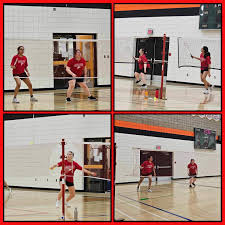 Image result for Meadow Sports Badminton Club