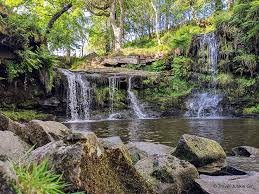 Image result for Sowerby Bridge Ladies Swimming Club