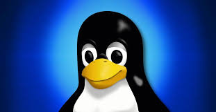 Image result for linux penguin