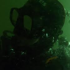 Image result for Aylesbury Ducks Sub Aqua Club