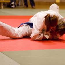 Image result for Felixstowe Judo club