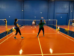 Image result for Henfield Dist Badminton Club