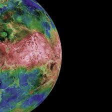 Image result for venus