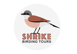 Image result for England Staffordshire Birding Club
