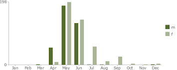 Attēlu rezultāti vaicājumam “Xysticus ulmi adult”