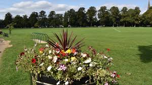 Image result for Witney Town Bowls Club