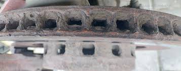 Картинки по запросу белку зажевало в диск