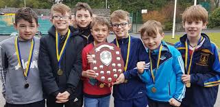 Image result for Limerick Draughts Club