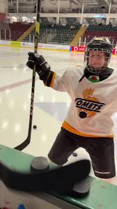 Image result for Cardiff Comets Ladies Ice Hockey