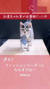 猫次郎에 대한 이미지 검색결과