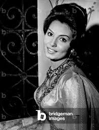 Resultado de imagen para schiaffino