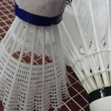 Image result for Ripley Badminton Club