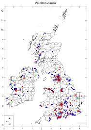 Attēlu rezultāti vaicājumam “Petractis sp.”