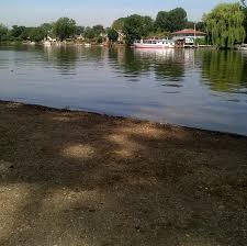 Image result for Walton On Thames Angling