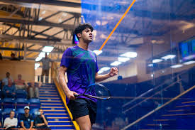 Image result for Hayley Badminton Club (Sunday Smashers)