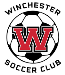 Image result for Winchester Netball Club