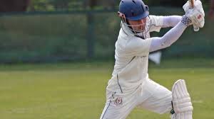 Image result for Fareham and Crofton Cricket Club