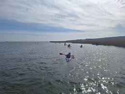 Image result for Stour Valley Canoe Club