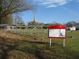 Image result for Chiddingly Cricket Club