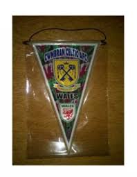 Image result for Cwmbran Celtic F C