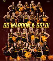 Image result for Hartlepool Hawks Cheerleading Academy