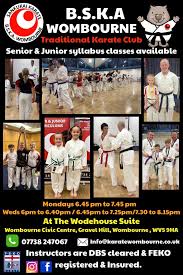 Image result for Nottingham Sankukai Karate