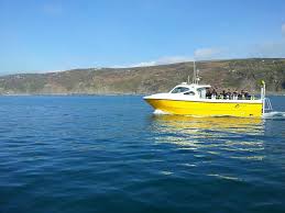 Image result for Plymouth Aquanauts