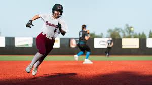 Image result for Sherwood Bowmen