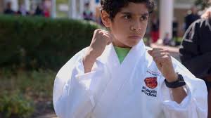 Image result for COURT FIELDS karate Academy