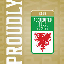 Image result for Penclawdd A F C