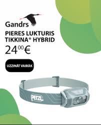 Attēlu rezultāti vaicājumam “Lamellocossus terebra”