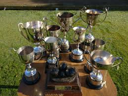 Image result for Greetham Bowls Club