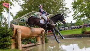 Image result for Dalton (Yorkshire) Badminton Club