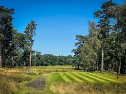 Image result for Hindhead Golf Club