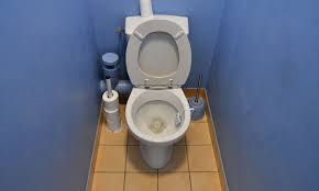 Image result for german toilet