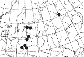 Attēlu rezultāti vaicājumam “Arthonia leucopellaea”