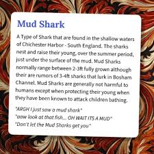 Image result for Chichester Sharks