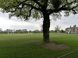 Image result for Ickwell Cricket Club